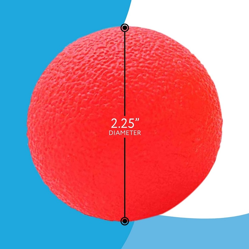 Pegangan tangan telur mencengk - Home Gym Room ulasan dan harga