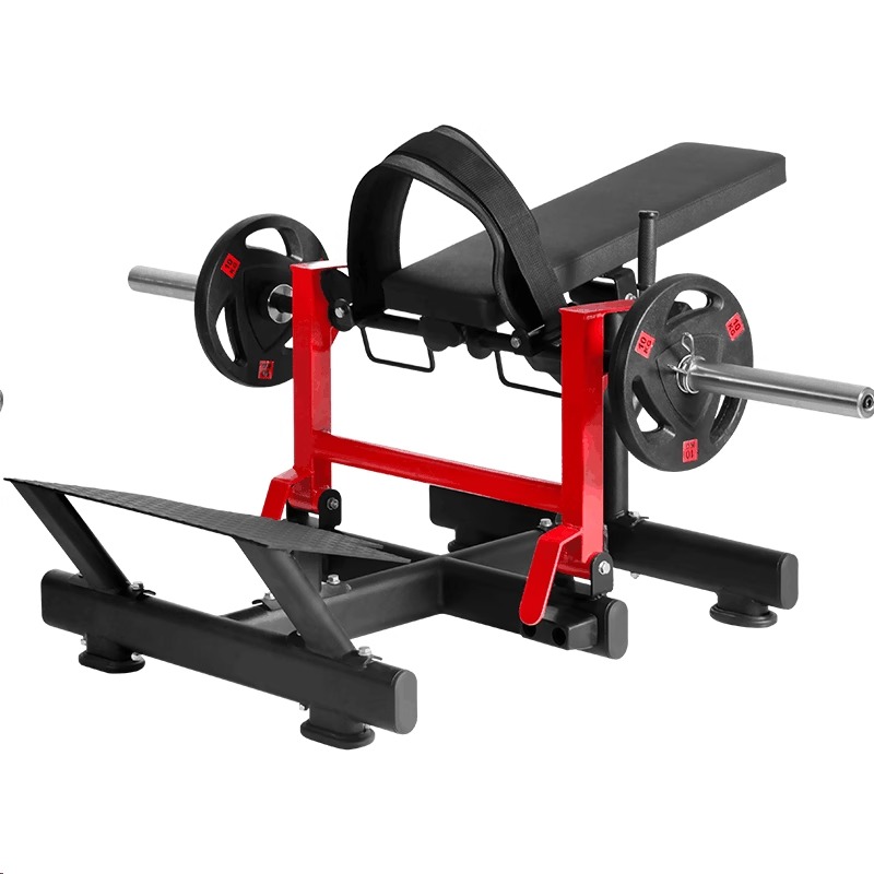 Mesin latihan otot gluteus dan - Leg Press Machine ulasan dan harga