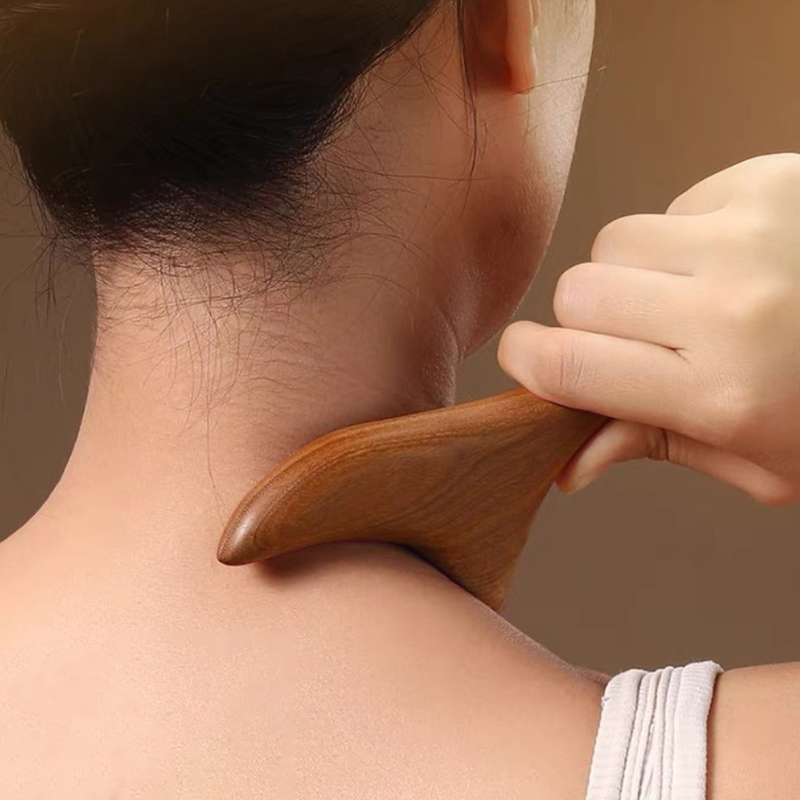 1 Buah Alat Gua Sha Pijat Titi - Home Gym Tools ulasan dan harga